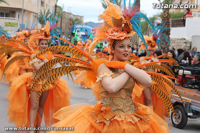 Desfile de Carnaval Totana 2014 - 78