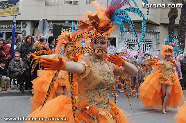 Desfile de Carnaval Totana 2014 - 87