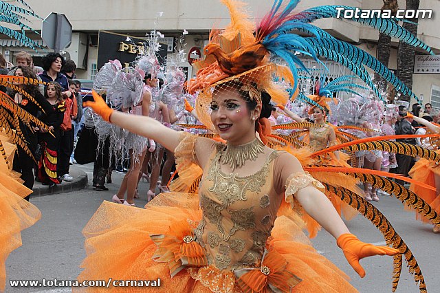 Desfile de Carnaval Totana 2014 - 94