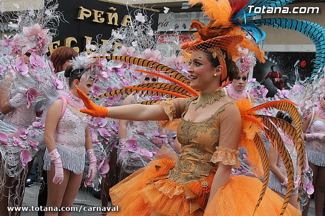 Desfile de Carnaval Totana 2014 - 107