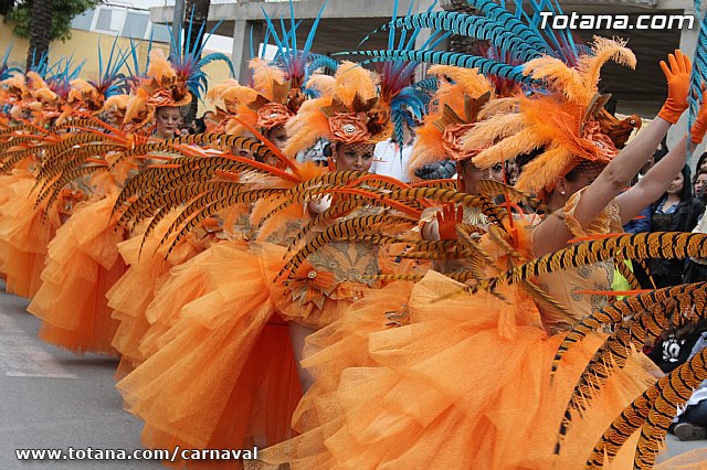 Desfile de Carnaval Totana 2014 - 113