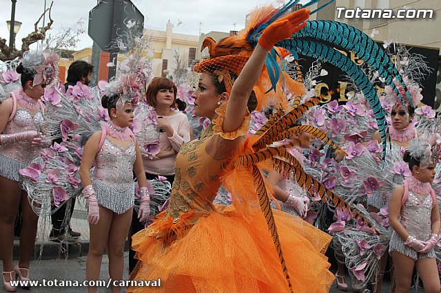 Desfile de Carnaval Totana 2014 - 119