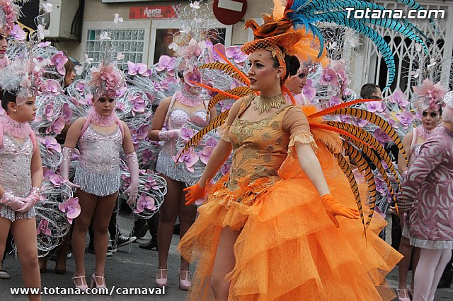 Desfile de Carnaval Totana 2014 - 121