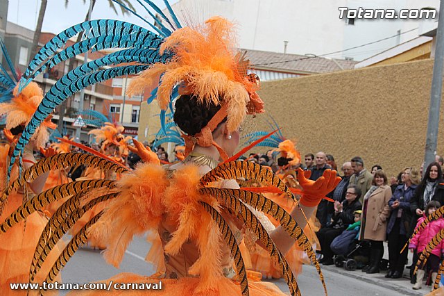Desfile de Carnaval Totana 2014 - 123