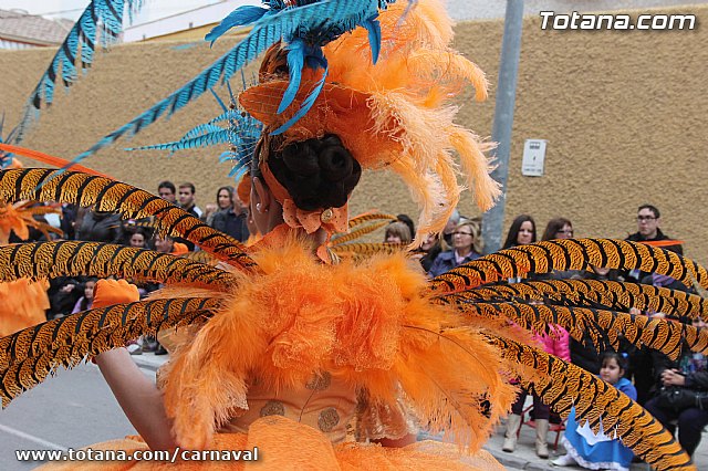 Desfile de Carnaval Totana 2014 - 124