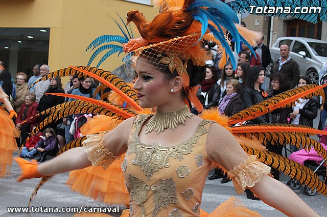 Desfile de Carnaval Totana 2014 - 144