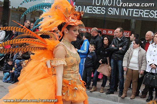 Desfile de Carnaval Totana 2014 - 147