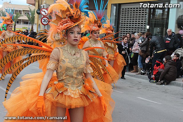 Desfile de Carnaval Totana 2014 - 148