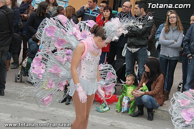 Desfile de Carnaval Totana 2014 - 182