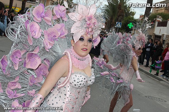 Desfile de Carnaval Totana 2014 - 186