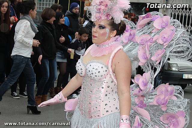 Desfile de Carnaval Totana 2014 - 189