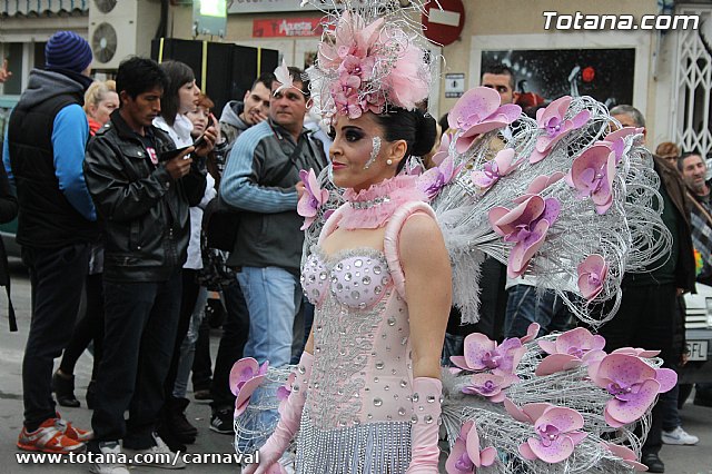Desfile de Carnaval Totana 2014 - 190
