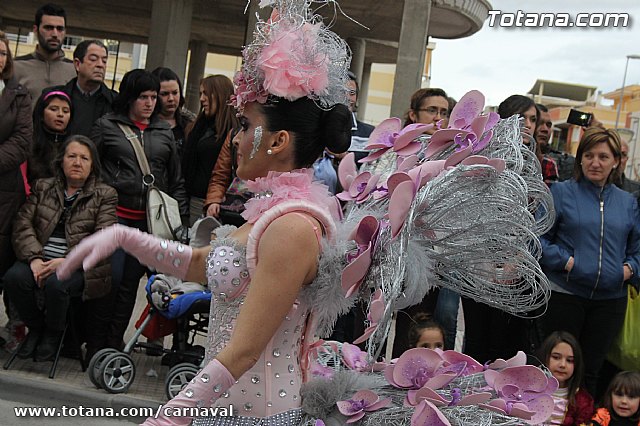 Desfile de Carnaval Totana 2014 - 194