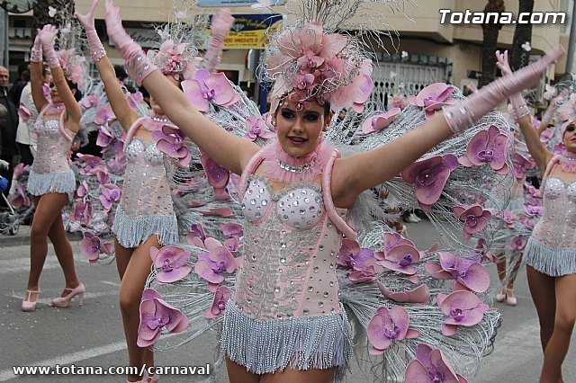 Desfile de Carnaval Totana 2014 - 201