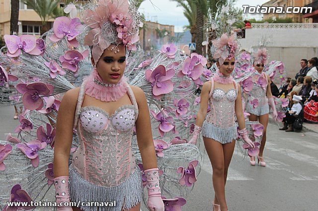 Desfile de Carnaval Totana 2014 - 202