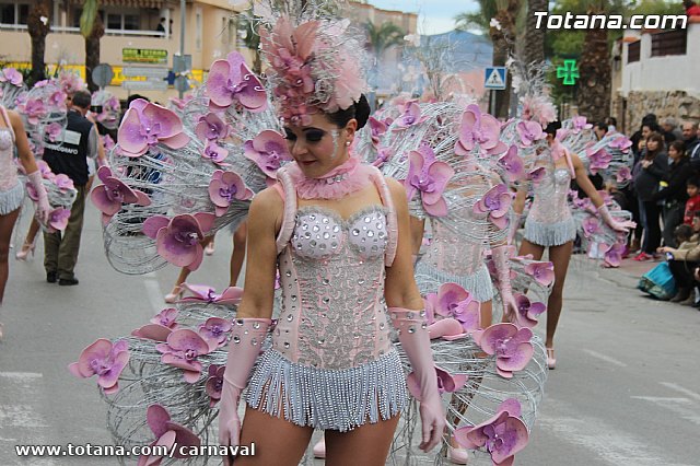 Desfile de Carnaval Totana 2014 - 203