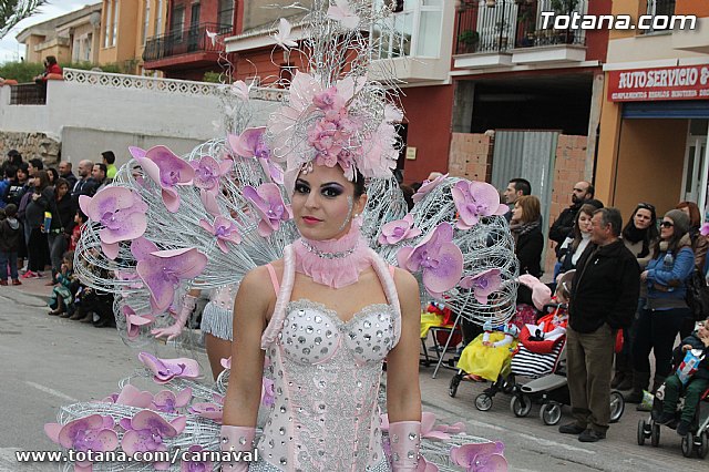Desfile de Carnaval Totana 2014 - 206
