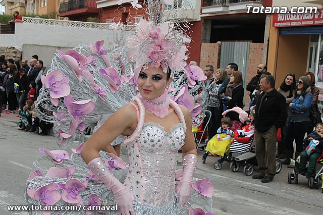 Desfile de Carnaval Totana 2014 - 207