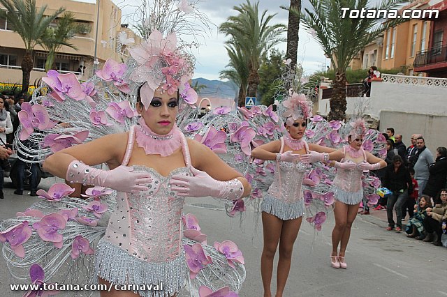 Desfile de Carnaval Totana 2014 - 208