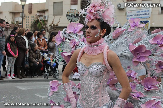 Desfile de Carnaval Totana 2014 - 211