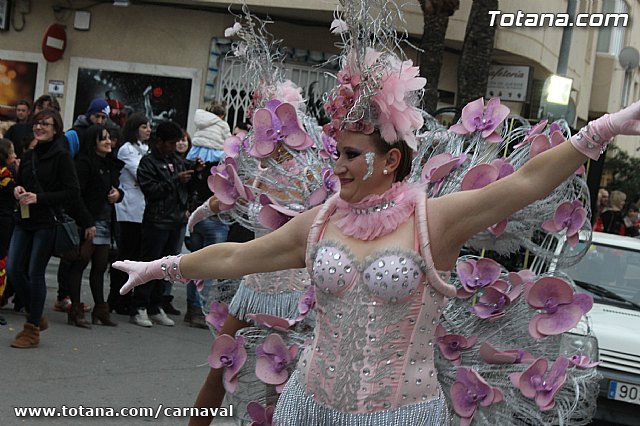 Desfile de Carnaval Totana 2014 - 214