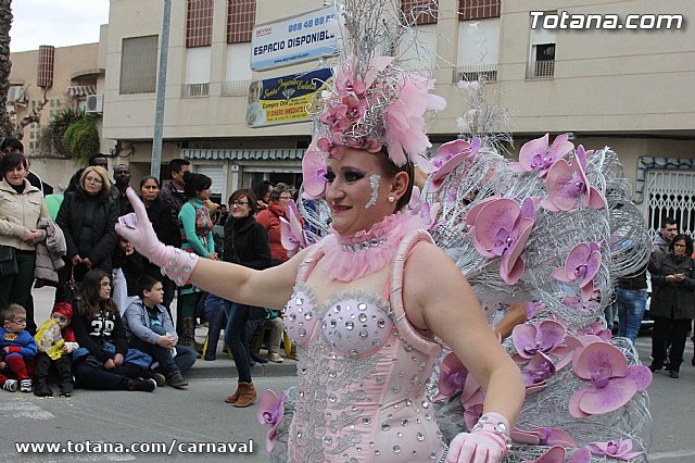 Desfile de Carnaval Totana 2014 - 217