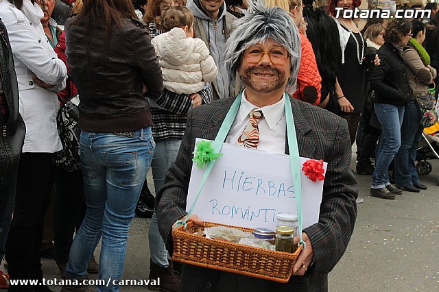 Desfile de Carnaval Totana 2014 - 239