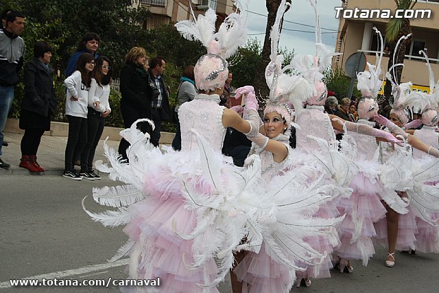 Desfile de Carnaval Totana 2014 - 352