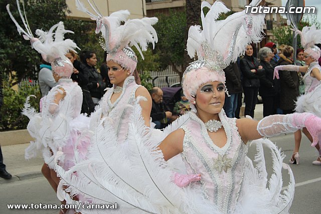 Desfile de Carnaval Totana 2014 - 356