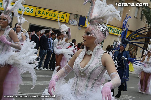 Desfile de Carnaval Totana 2014 - 367