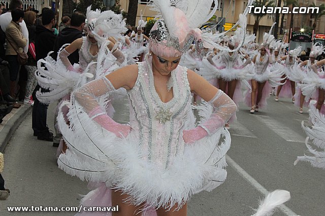 Desfile de Carnaval Totana 2014 - 408