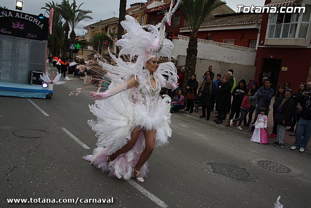 Desfile de Carnaval Totana 2014 - 442