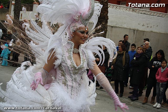 Desfile de Carnaval Totana 2014 - 443