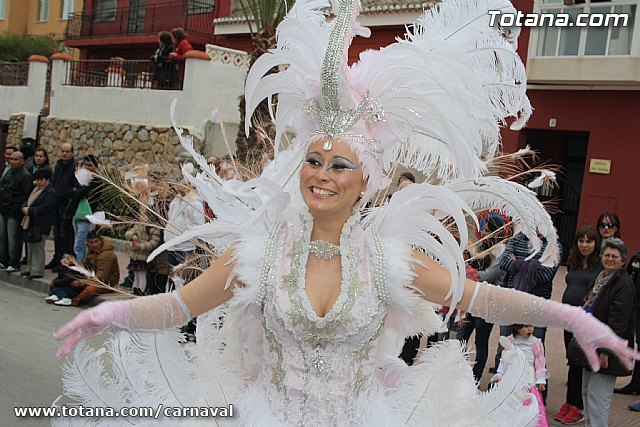 Desfile de Carnaval Totana 2014 - 445