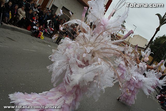 Desfile de Carnaval Totana 2014 - 446