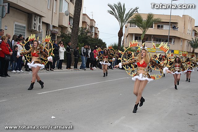 Desfile de Carnaval Totana 2014 - 483