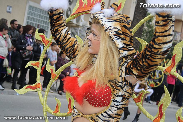 Desfile de Carnaval Totana 2014 - 485