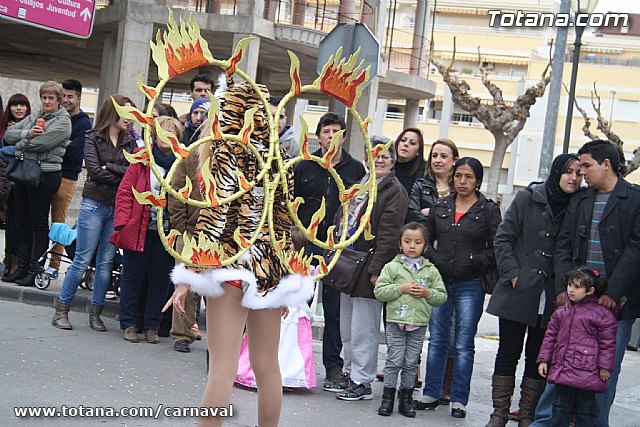 Desfile de Carnaval Totana 2014 - 487