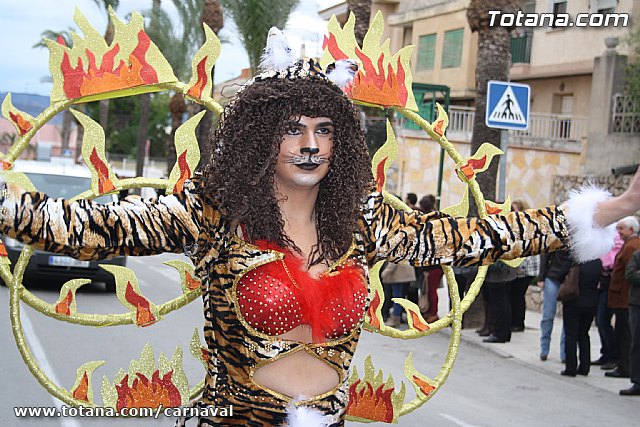 Desfile de Carnaval Totana 2014 - 494
