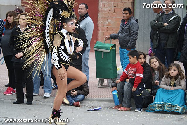 Desfile de Carnaval Totana 2014 - 554