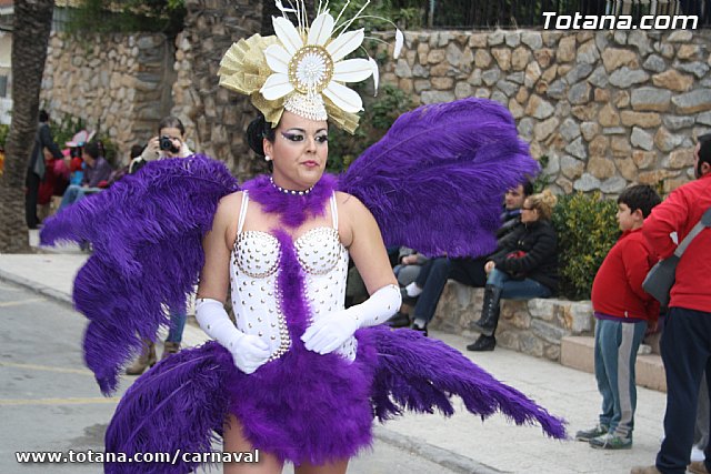 Desfile de Carnaval Totana 2014 - 583
