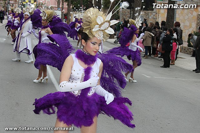 Desfile de Carnaval Totana 2014 - 597