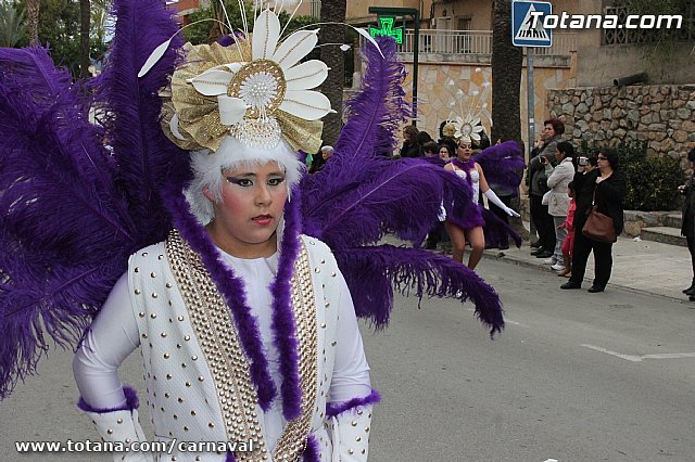 Desfile de Carnaval Totana 2014 - 599