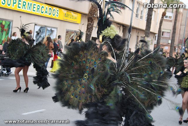 Desfile de Carnaval Totana 2014 - 678