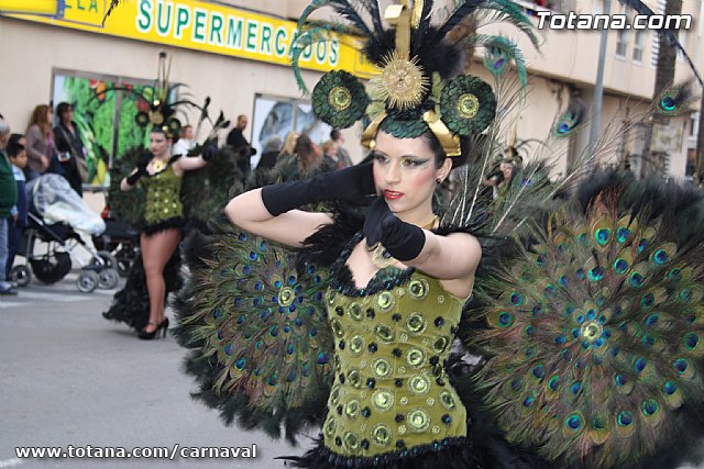 Desfile de Carnaval Totana 2014 - 679