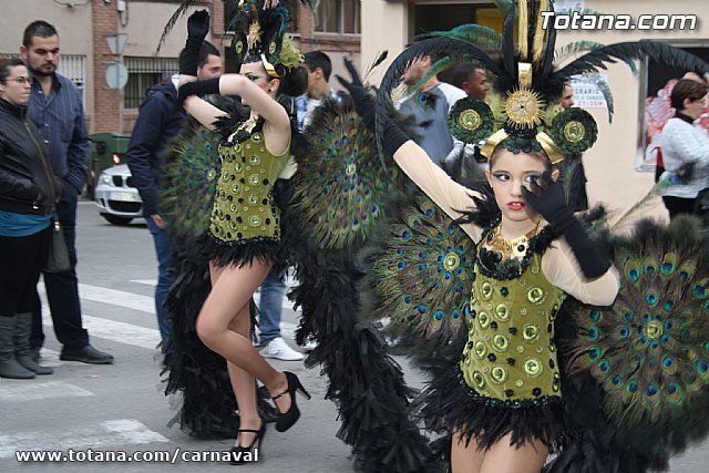 Desfile de Carnaval Totana 2014 - 680