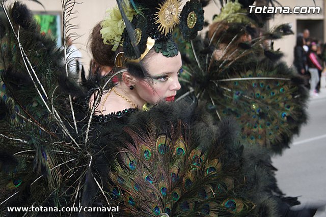 Desfile de Carnaval Totana 2014 - 684