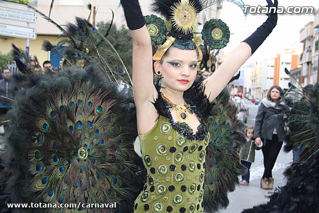 Desfile de Carnaval Totana 2014 - 686
