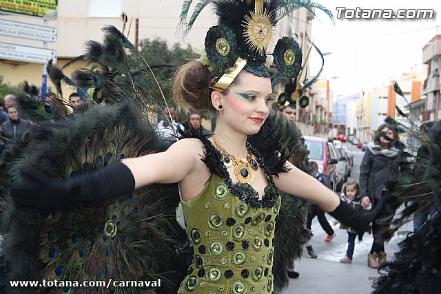 Desfile de Carnaval Totana 2014 - 687