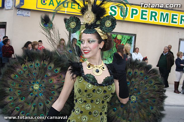 Desfile de Carnaval Totana 2014 - 689